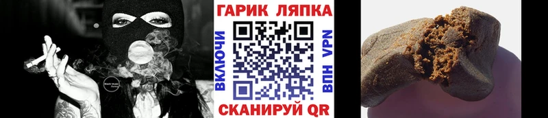 ГАШ Premium где купить Благодарный