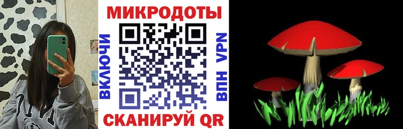 Псилоцибиновые грибы Psilocybe  ОМГ ОМГ маркетплейс  Благодарный  продажа наркотиков 